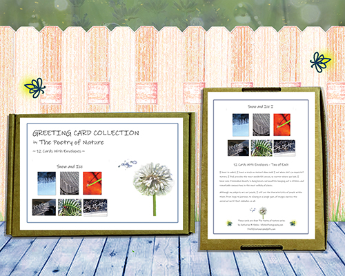 Snow and Ice I Greeting Card Collection by The Poetry of Nature